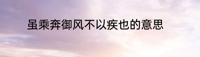 虽乘奔御风不以疾也的意思