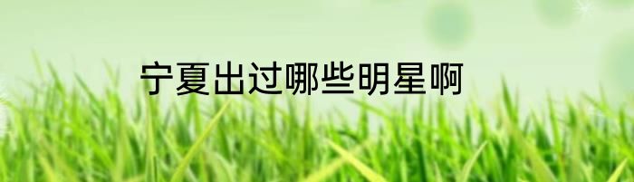 宁夏出过哪些明星啊