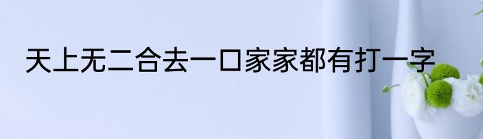 天上无二合去一口家家都有打一字