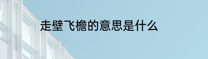 走壁飞檐的意思是什么