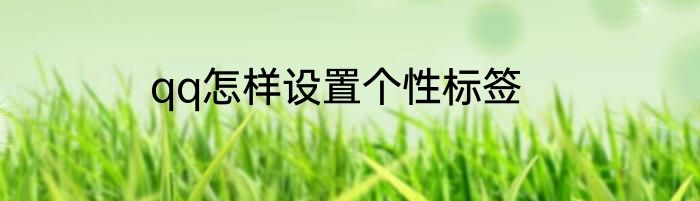 qq怎样设置个性标签