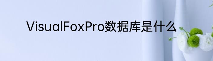 VisualFoxPro数据库是什么