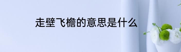 走壁飞檐的意思是什么