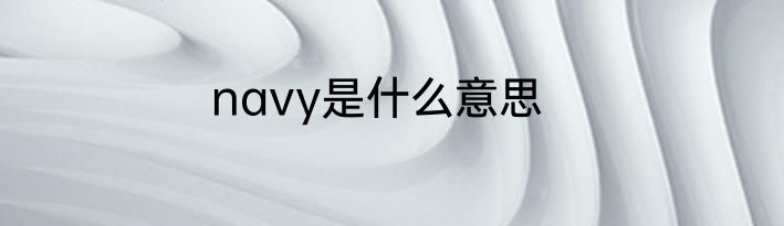 navy是什么意思