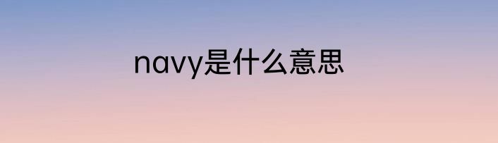 navy是什么意思