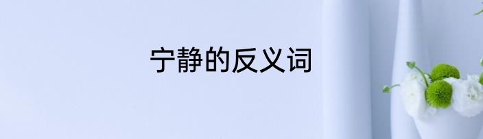 宁静的反义词