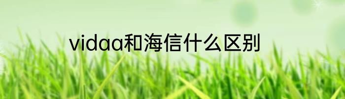 vidaa和海信什么区别