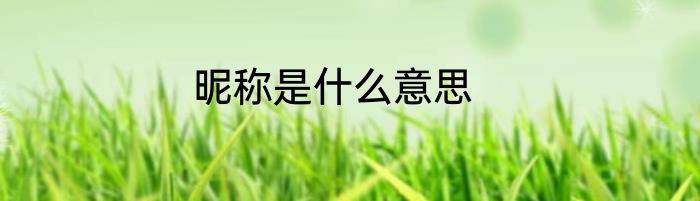 昵称是什么意思