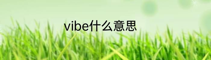 vibe什么意思