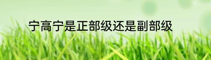 宁高宁是正部级还是副部级