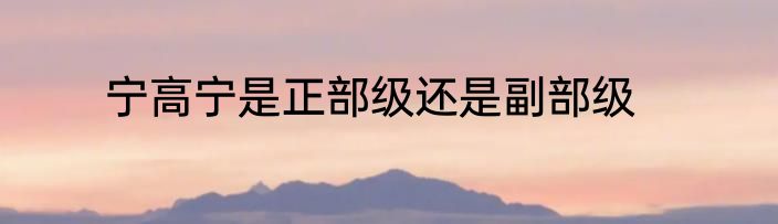 宁高宁是正部级还是副部级