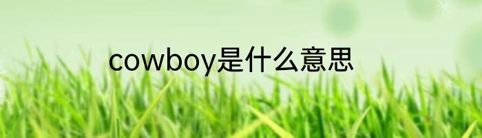 cowboy是什么意思