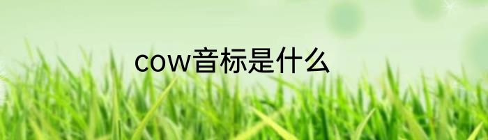 cow音标是什么