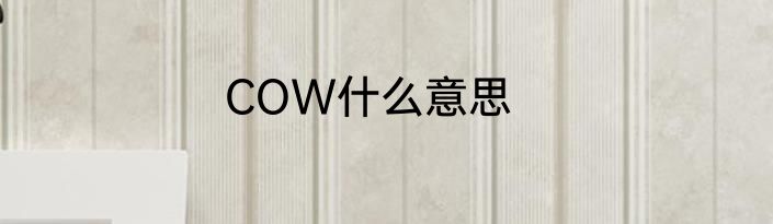 COW什么意思