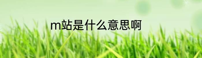 m站是什么意思啊