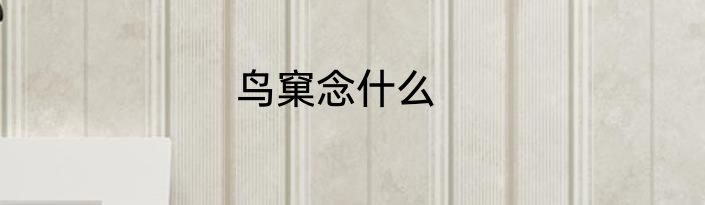 鸟窠念什么