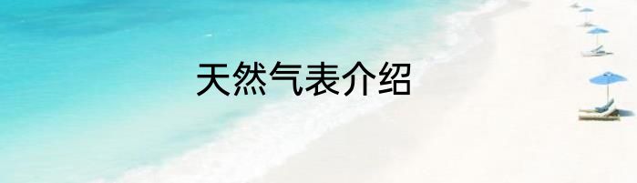 天然气表介绍