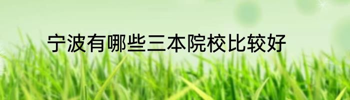 宁波有哪些三本院校比较好