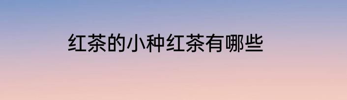红茶的小种红茶有哪些