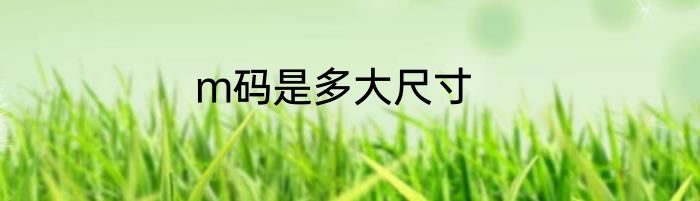 m码是多大尺寸
