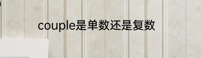 couple是单数还是复数