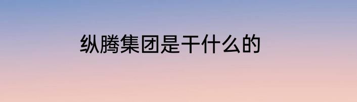 纵腾集团是干什么的