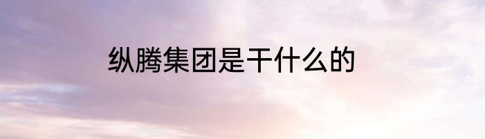 纵腾集团是干什么的
