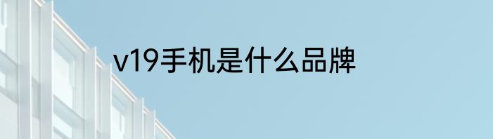 v19手机是什么品牌
