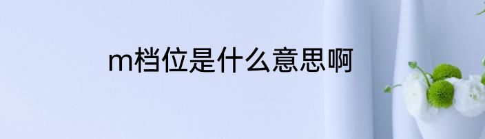 m档位是什么意思啊