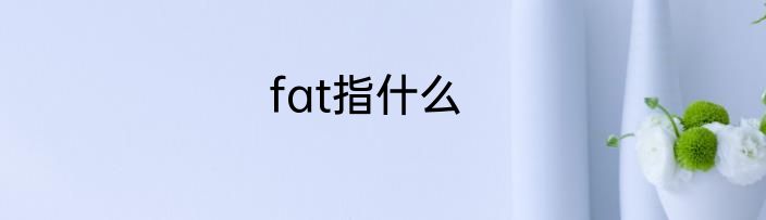 fat指什么
