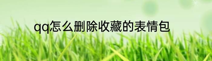 qq怎么删除收藏的表情包