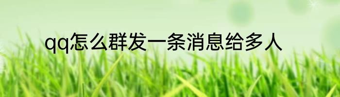 qq怎么群发一条消息给多人