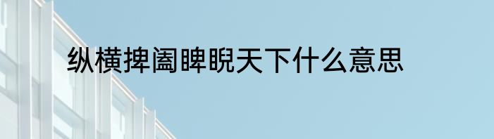 纵横捭阖睥睨天下什么意思