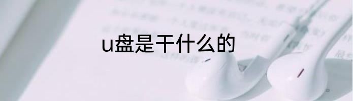 u盘是干什么的