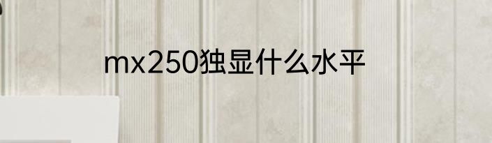 mx250独显什么水平
