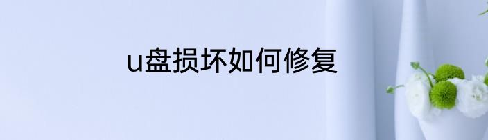 u盘损坏如何修复
