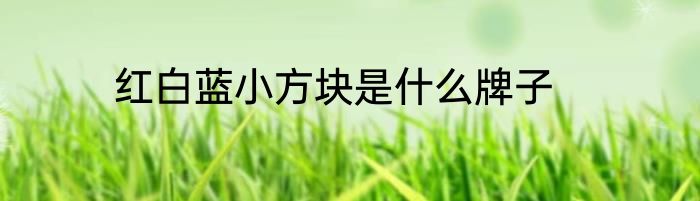 红白蓝小方块是什么牌子