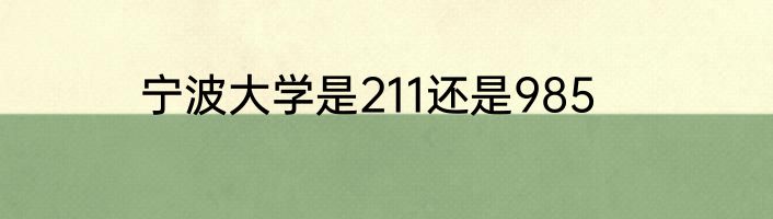 宁波大学是211还是985