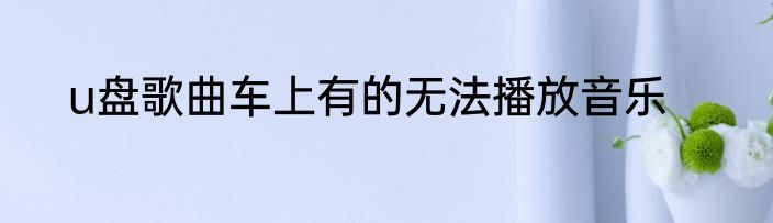 u盘歌曲车上有的无法播放音乐