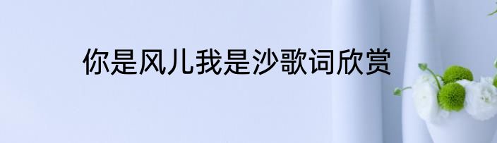 你是风儿我是沙歌词欣赏