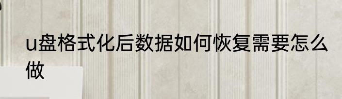 u盘格式化后数据如何恢复需要怎么做