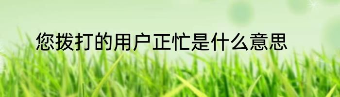 您拨打的用户正忙是什么意思