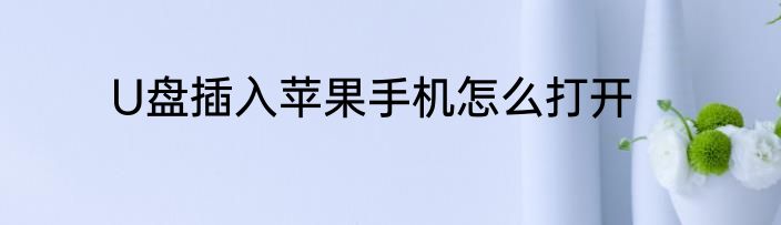 U盘插入苹果手机怎么打开