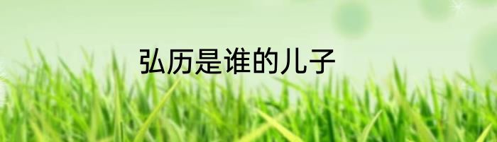 弘历是谁的儿子