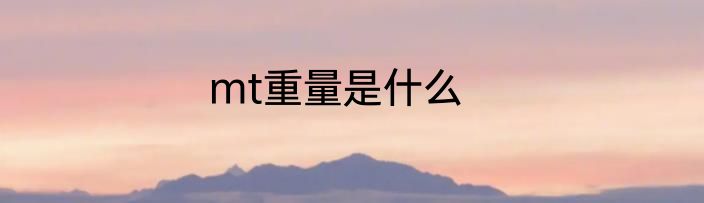 mt重量是什么