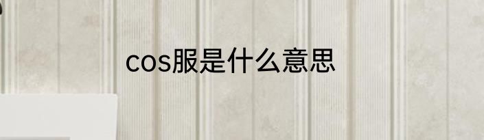 cos服是什么意思