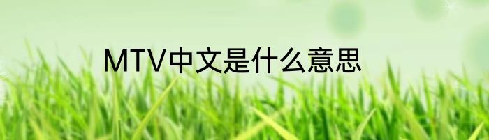 MTV中文是什么意思