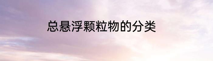 总悬浮颗粒物的分类
