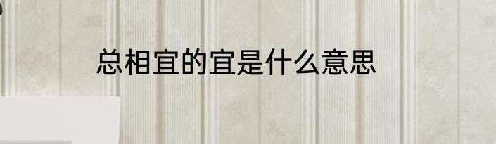 总相宜的宜是什么意思