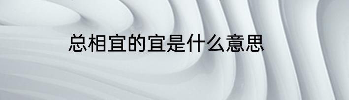 总相宜的宜是什么意思